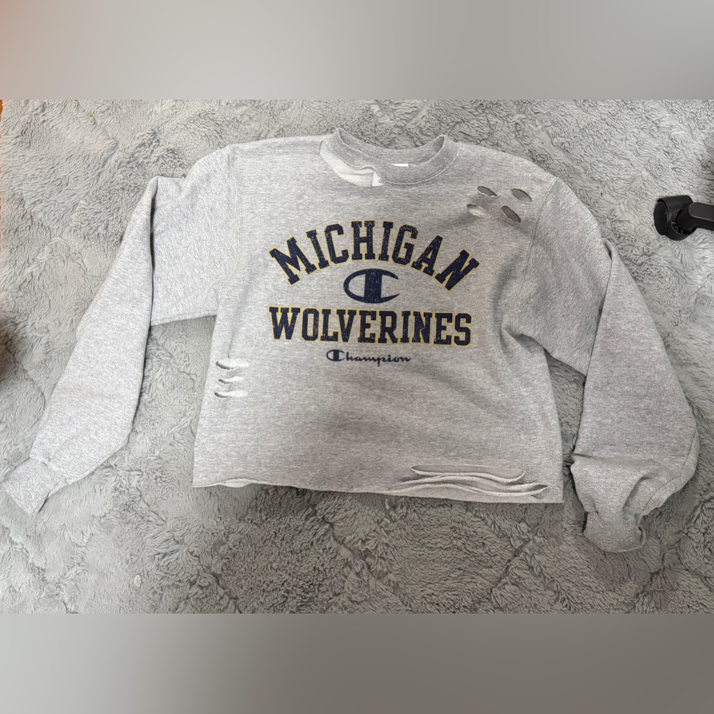 Champion Michigan Cropped and Distressed Sweater